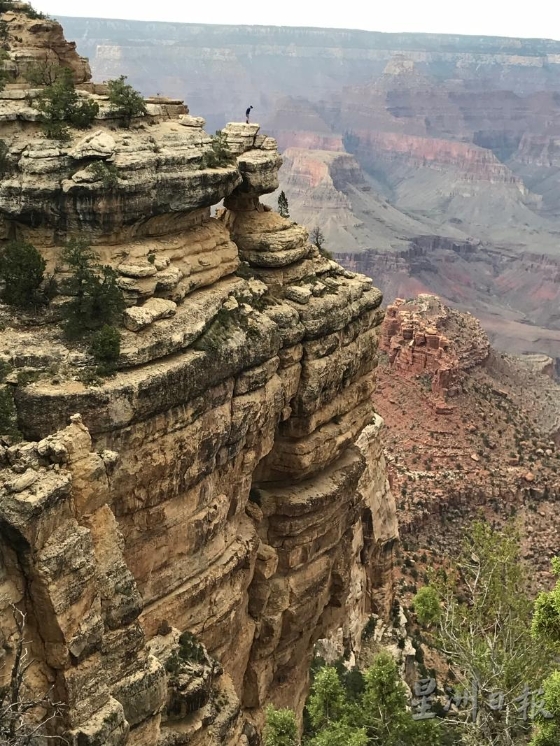 孤独的鹰：大峡谷的知音。

