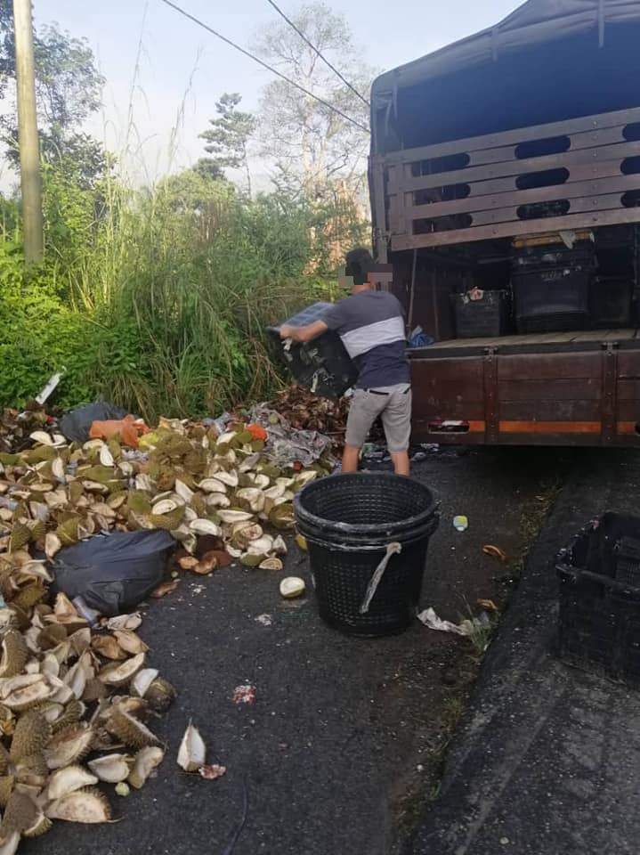 一名榴梿商把罗里上的榴梿壳搬下来丢弃时，被官员捉到，并拍相作证。