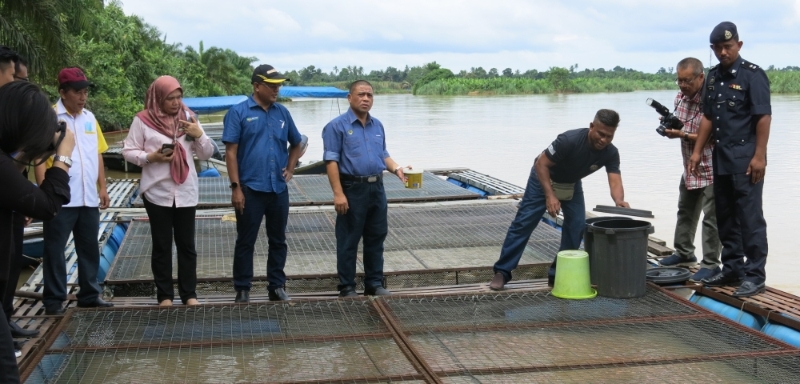 沙拉尼（左四）参观中霹雳一个淡水鱼养殖场。
