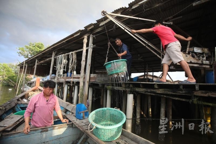 杨家成（左）将船上的渔获简单分类到篮子后才吊上鱼行。