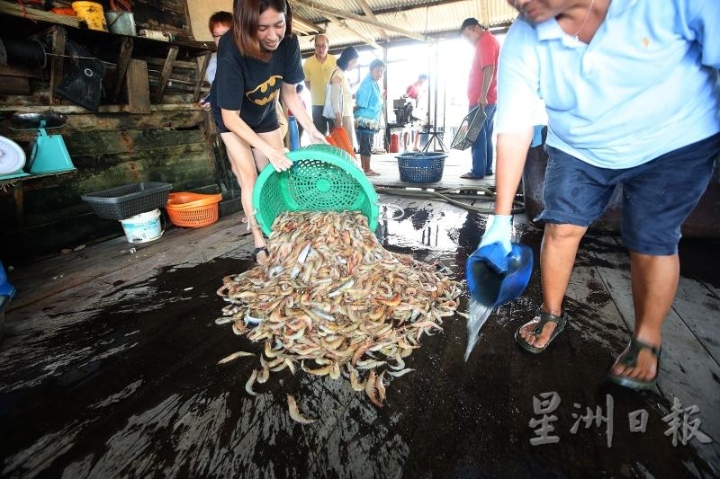 海港人吃的，多是直接从大海打捞回来的海鲜，渔获一倒下，人们立即“各取所需”。