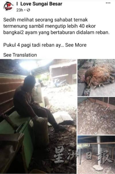 有网民把业者的“惨痛”遭遇分享到“我爱大港”脸书社区专页,引起许多网民留言,并给予事主安慰。(图:星洲日报)