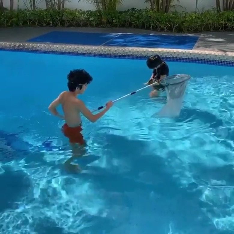 张柏芝督促儿子“自己泳池自己清洁”。