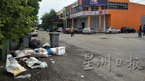 民众把垃圾包丢弃垃圾桶外，引来野狗和野猫，还有鸦群。