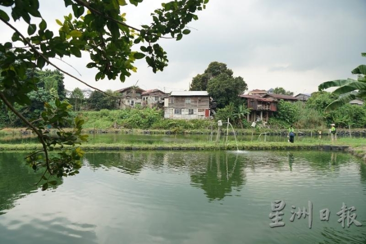 沙叻秀新村位于吉隆坡市的中心点，可说是大都会钢筋丛林里的小绿洲。在村子的中心洼地，有人筑泥墙形成池塘，用于养殖淡水鱼，供应附近的市场及餐厅，是都市中难得的生态景观。

