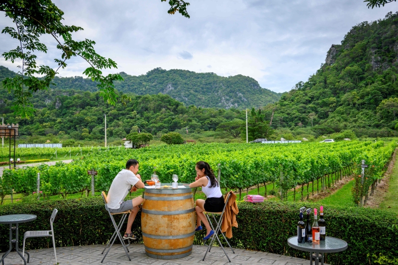 游客们享受着辽阔宁静的自然境界，再来一杯清净香醇果味的特色葡萄酒，简直是人间天堂。（法新社照片）