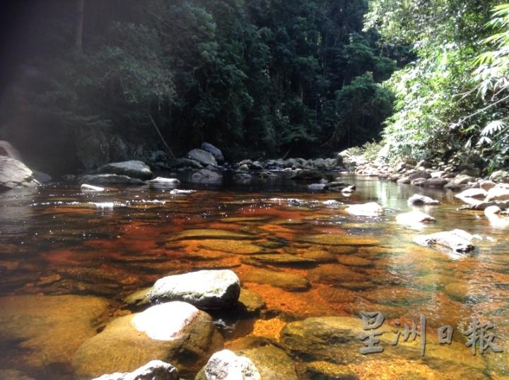国家公园范围的水质非常干净，且具有很高的矿物质。河水透明而称红茶色，山友们都称之为“Teh O”。（图片由受访者提供）