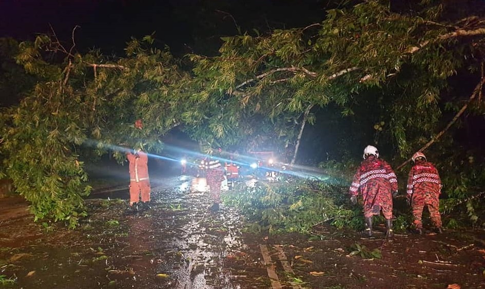 文冬多区闪电水灾大风雨也导致一些路段发生大树倒下，车辆行驶受阻。（图取自民防部队）