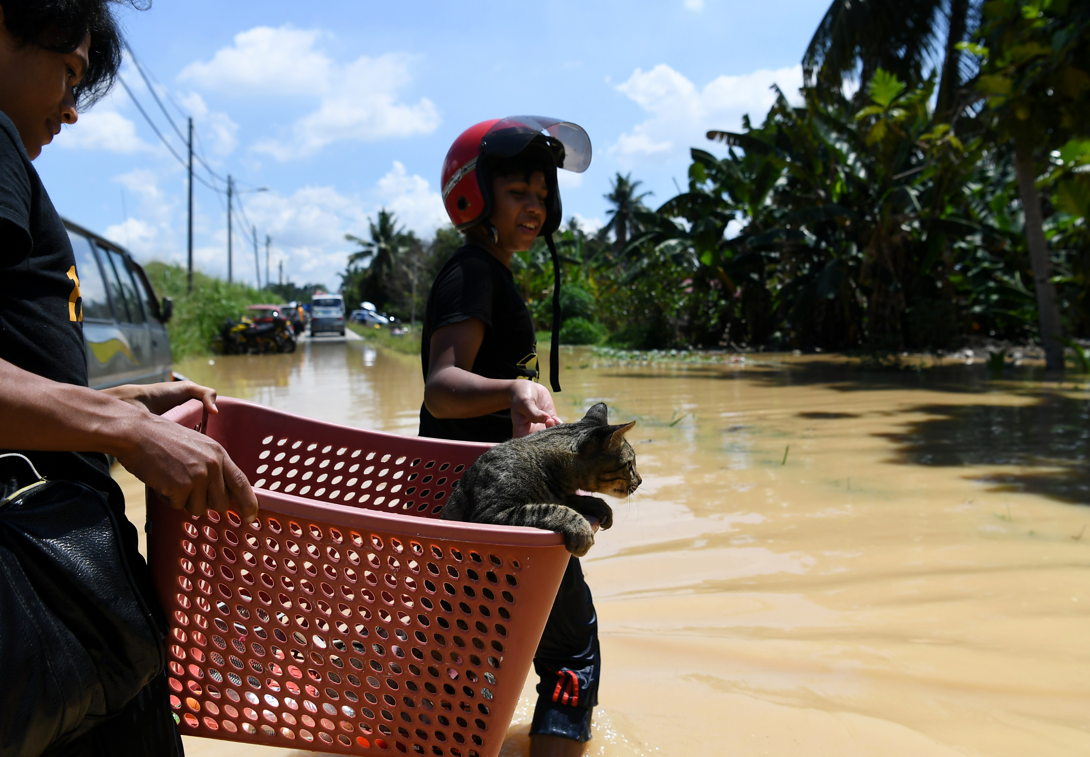 居住在龙溪甘榜Sri Tanjung的居民用篮子把小猫救出水灾现场。（马新社图）
