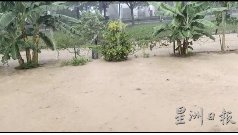 短短半小时的豪雨，也导致蒲种金銮花园第二区发生水灾，黄黄的泥水甚至流入民宅。（图截取自黄思汉提供的视频）