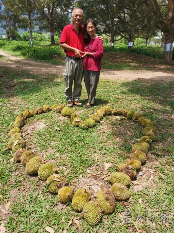 吴瑞彪因为太太而把原有的榴梿果园改为有机种植方式。（照片：受访者提供）