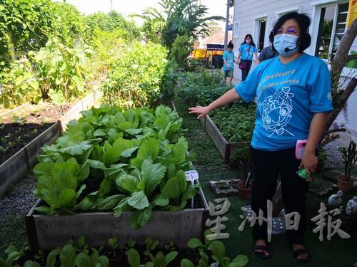 郑欣玲向来宾导览中心内的小菜园，亦是平时特殊儿童学习种菜的小天地。