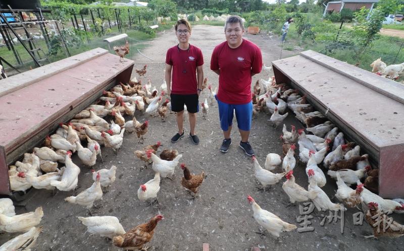 “农庄故事”里不但种菜，还养鸡产蛋，也是张杰男（左）与陈锡禧的共同心血。