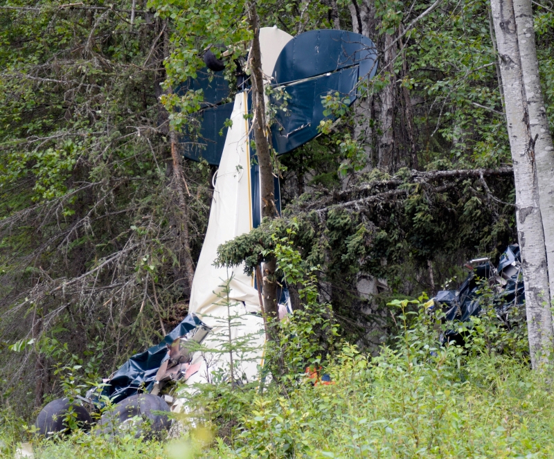 其中一架飞机相撞后掉落在灌木丛中。（美联社照片）