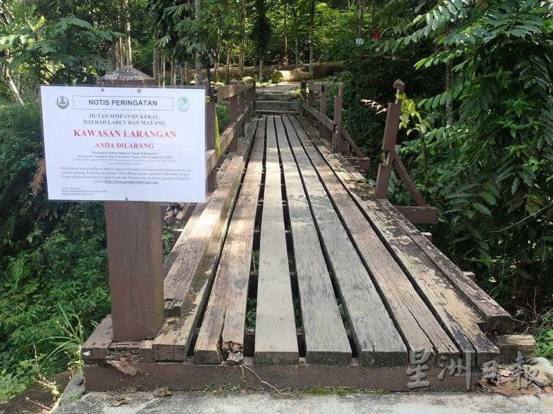 森林局在进入拉律山山径的出入口贴上告示，禁止公众进入。