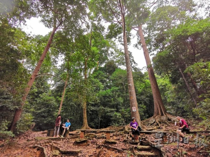 南峇山除了是小镇居民的运动场所，也是乡土教育的基地。

