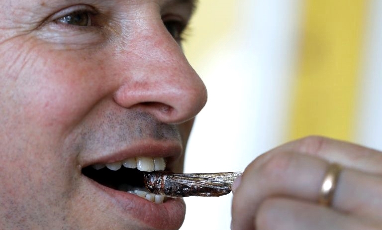 Hargol breeding farm founder and CEO Dror Tamir tasting a locust. AFP