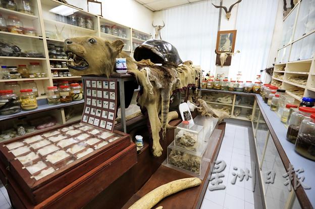 国家动物园的标本博物馆，收藏了过去在动物园死亡的动物标本。