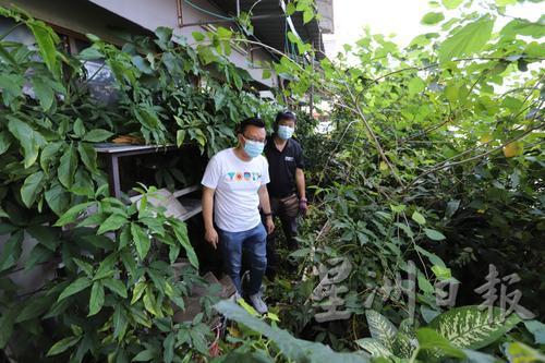 蔡求伟（左）与张保龙身处住户疏于照顾而形成的“丛林”，对卫生情况摇头。