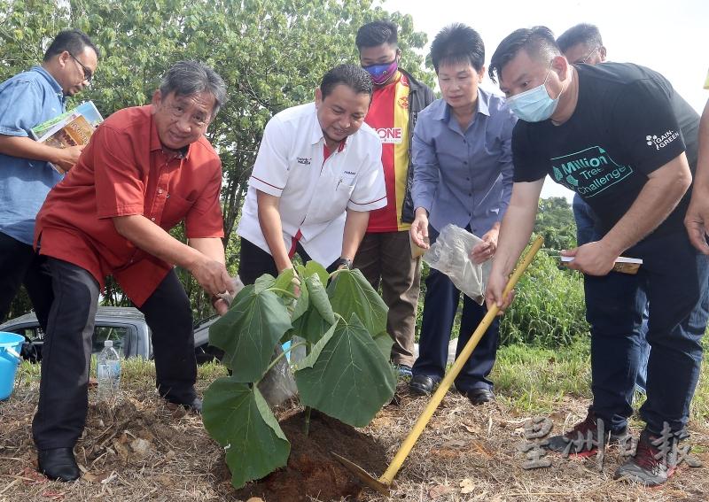 Green Economy有限公司捐献100棵泡桐树苗，作为替代早前因染病而遭砍伐的树木。左二起为阿玛阿都加巴及廖书慧。
