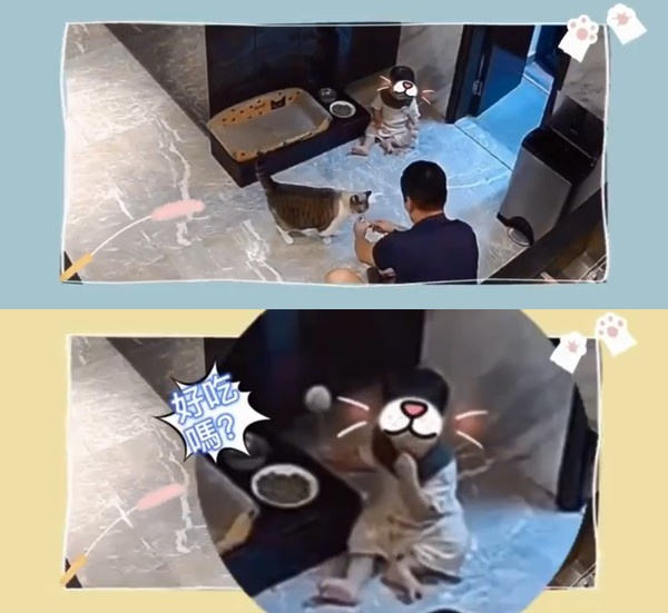 安以轩曝光家中监视器画面，可见陈荣炼在喂猫时，儿子66伸手去抓猫食放入嘴巴。