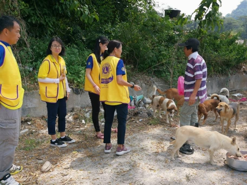 陈月蓉（右）每天必须照料逾130只流浪狗，包括沿路喂食路边的流浪狗。