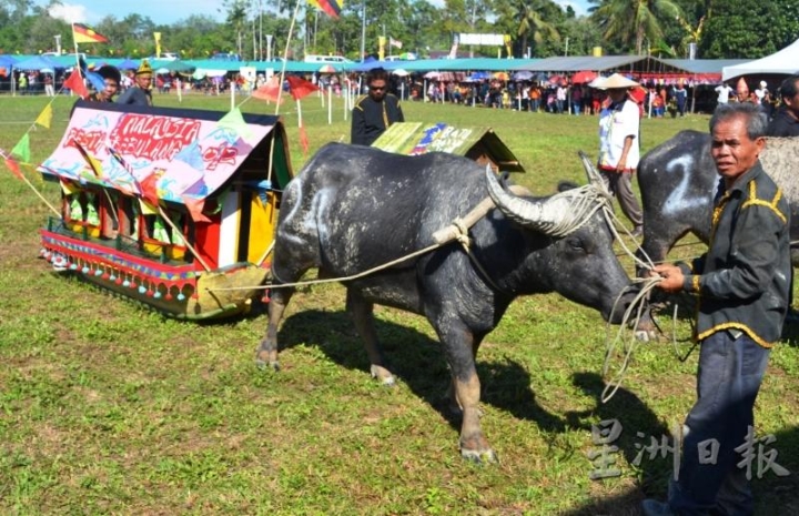“巴布朗庆典”是砂拉越比沙亚人独有的盛事，每一年为期两天在林梦峇都达瑙举行。（图：砂拉越旅游局提供）
