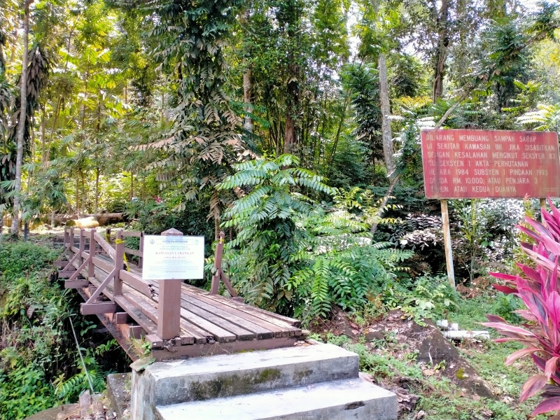 攀登拉律山的捷径已列为森林保护区。