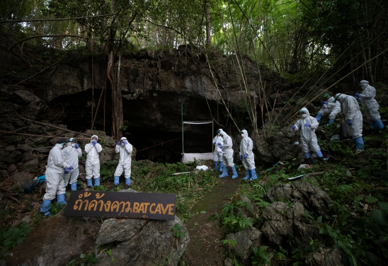 身穿个人防护装备的泰国研究人员于7月31日在北碧府的柿约国家公园一座山上，准备诱捕山洞里的蝙蝠。（美联社照片）