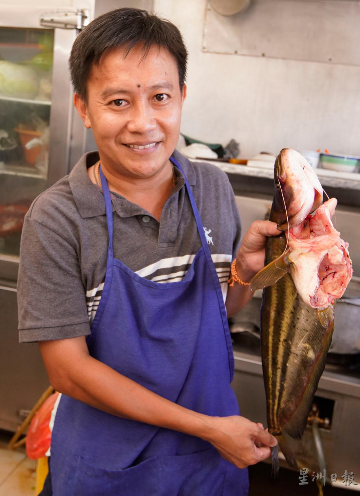  鲶鱼是食客喜爱的鱼类之一，不少食客都爱吃鱼头！