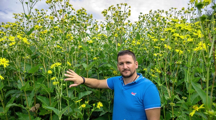 HADN (horticulture and agriculture trade) manager Amedee Perrein poses next to Silphium perfoliatum (cup plant) flowering plants in a field near Dompaire in eastern France. The culture of the flowering plants, intended for fodder and methanation, is much less greedy in water and phytosanitary products than corn, and thus presents an alternative in times of drought. AFP