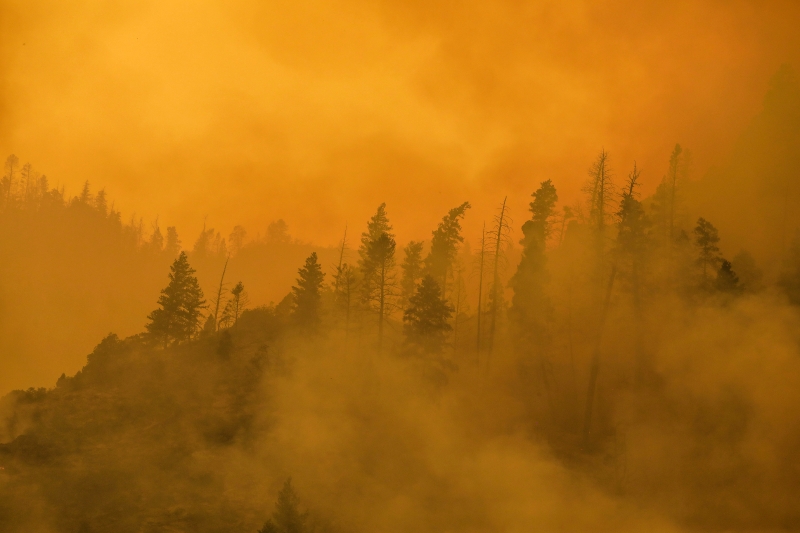 加州大野火导致格伦伍德峡谷浓烟弥漫。（美联社照片）