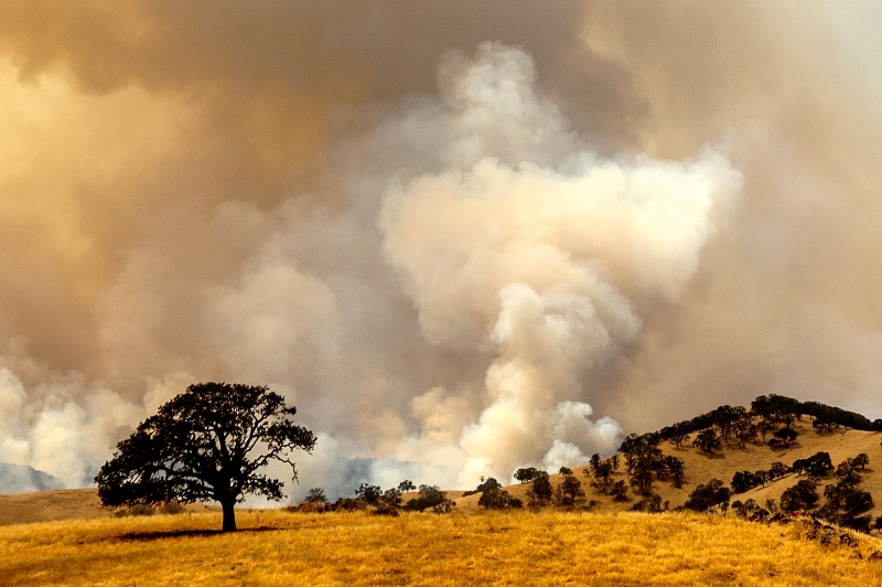 加州上空因林火而被巨大浓烟笼罩。（美联社照片）