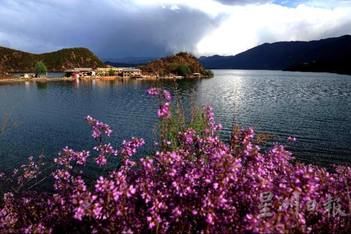 繁花绚烂，湖水湛蓝，景致迷人的泸沽湖。