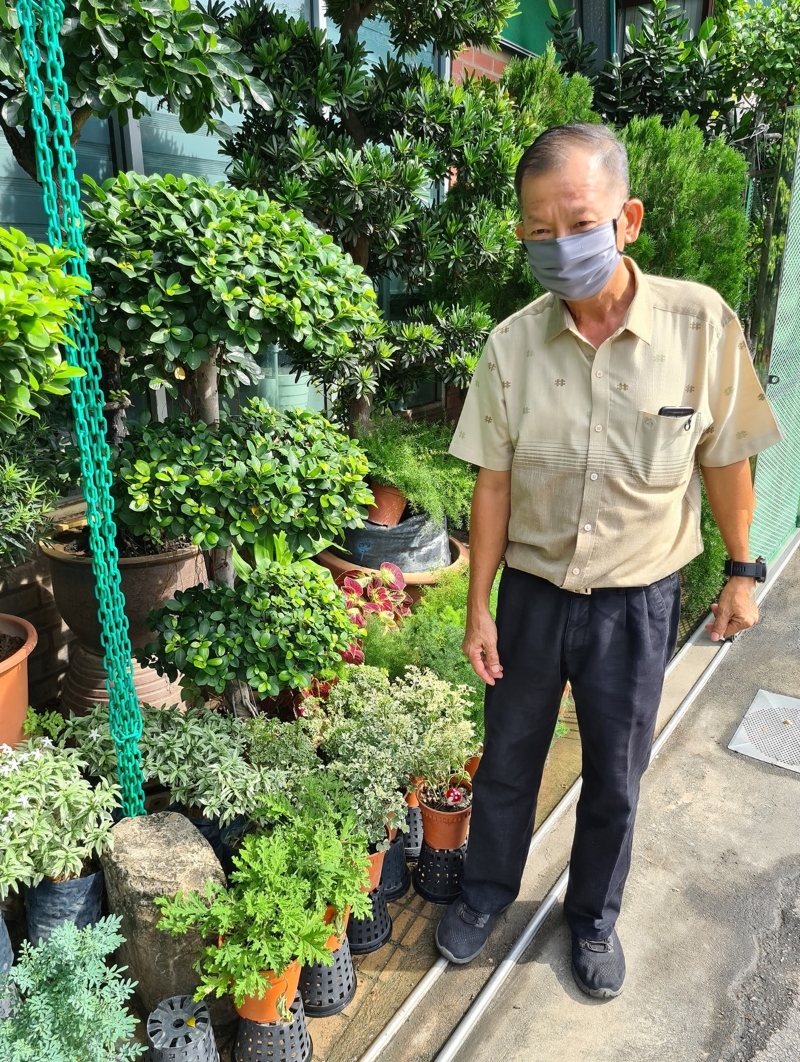 黄博谆表示,万寿菊是一种“防虫小能手”。 黄博谆表示,万寿菊是一种“防虫小能手”。