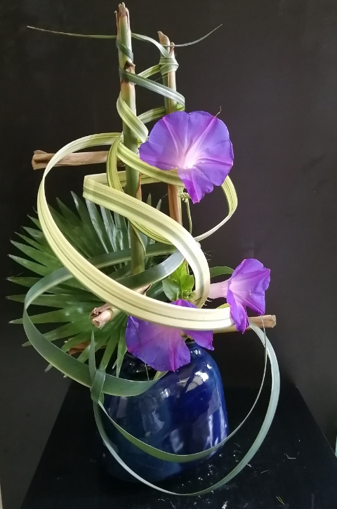 生长在路边篱笆的喇叭花，同样能带出侘寂之美。作品主题：紫色梦。