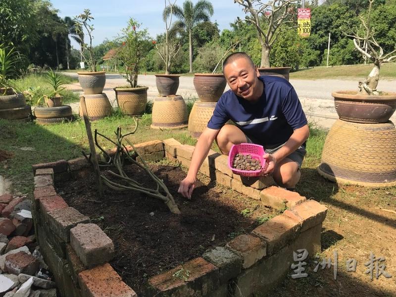 颜建源种木鳖果时通常会多种几棵，出现雌雄株的几率非常大。