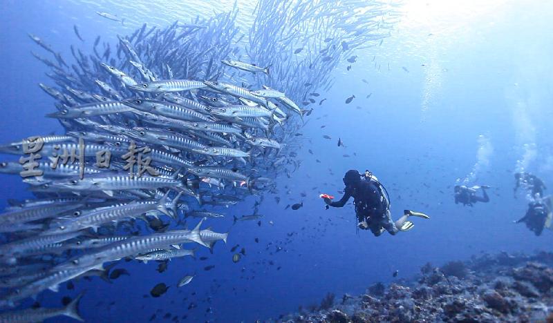 到卡巴莱体验仙本那精彩的海底世界。