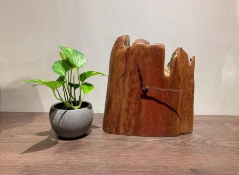 时钟：形状独特的小型树根也不浪费，制作成时钟，不仅美观，还富有艺术感，令人赏心悦目。