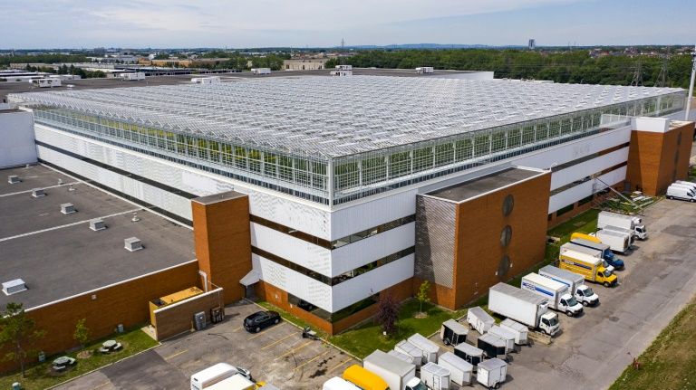 Lufa Farms just opened what it says is the world's largest commercial rooftop greenhouse. AFP