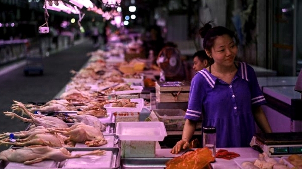 China is estimated to waste enough food annually to feed a country the size of South Korea. AFP