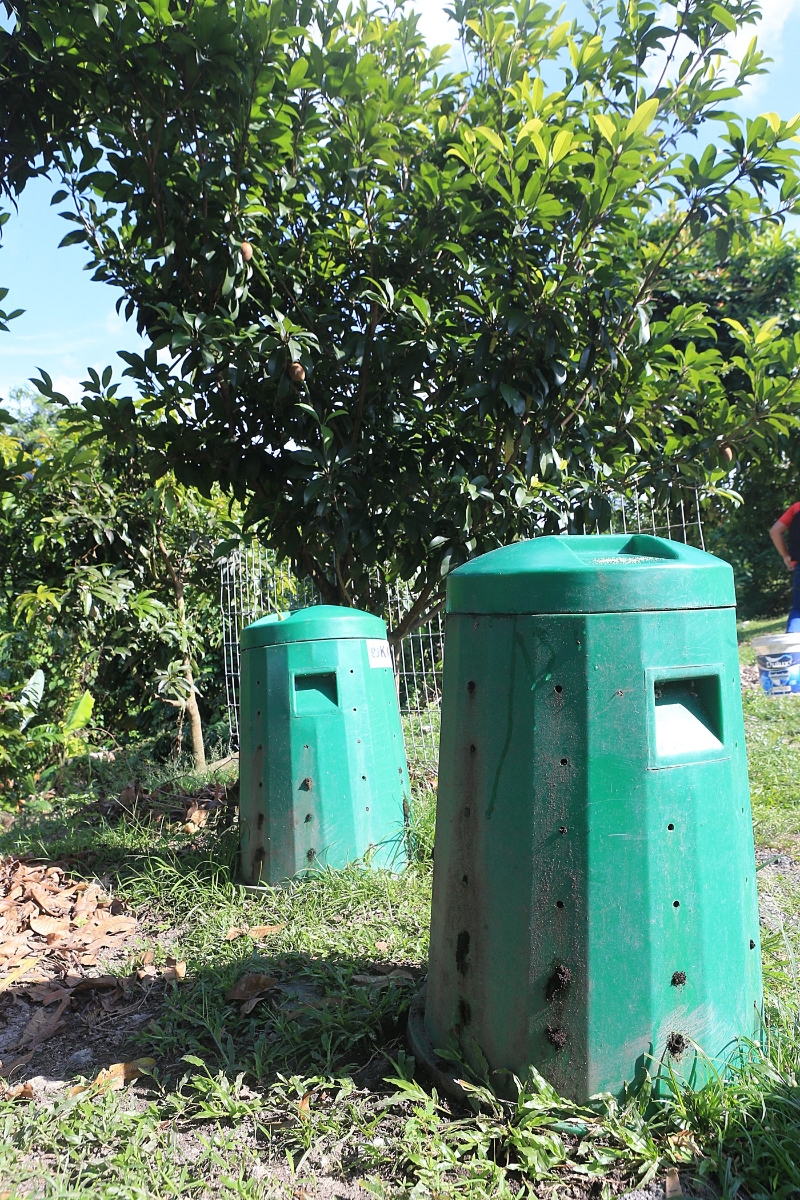 在社区菜园里可以看见由梳邦再也市议会提供的堆肥桶。