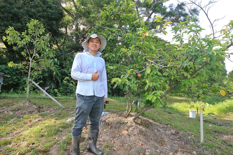 陈时明说，这棵红毛榴梿树是第一个提供他果实的果树。