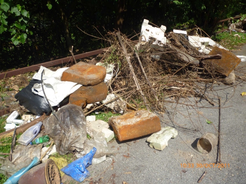 社区果园的前身是不负责任承包商和一些居民非法丢弃建筑废料和垃圾的“垃圾场”。