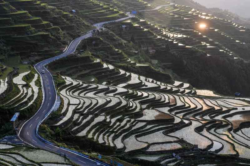 晨光中的贵州从江县加榜乡加车梯田，构成了一幅中国水墨画。（图：新华社）