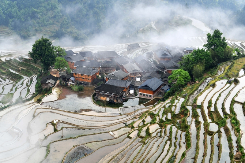 贵州省从江县加榜乡的梯田云雾缭绕，给人一种“人间仙境，世外桃园”的感觉。（图：新华社）