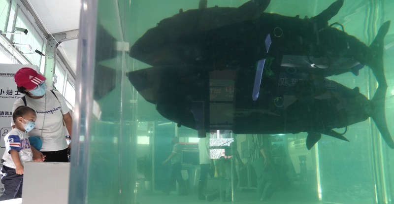 鲨鱼深海潜航借助其倣生设计，可应用于海洋环境保护、海洋地貌测绘、海洋开发等领域。   
