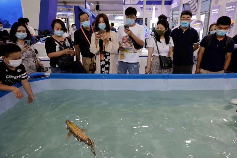 这款倣龙鱼机器人集成了多种传感器和全局视觉控制技术，可应用于教育科研、文娱、海洋生物研究等领域。  