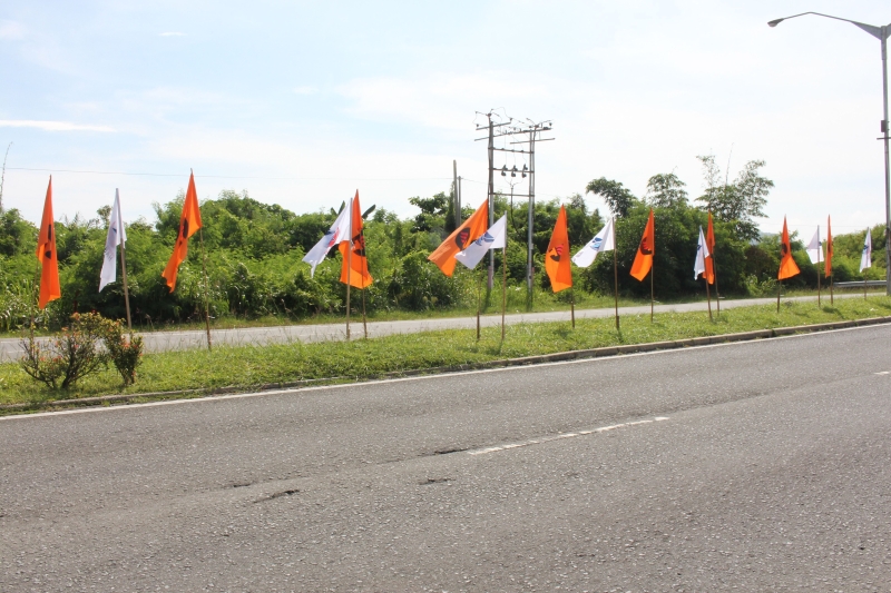 民兴党与自民党在森森道路也插满党旗。