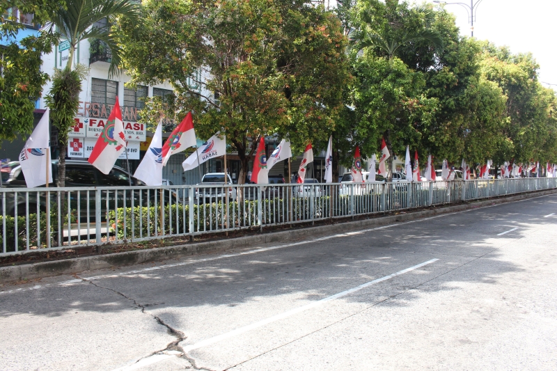 民兴党与沙统党旗相隔，形成一片红白相间旗海。
